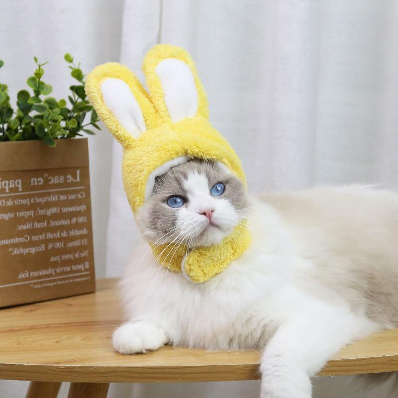 RabbitHat™ - Accessoire de déguisement pour chat - Environnement des chats